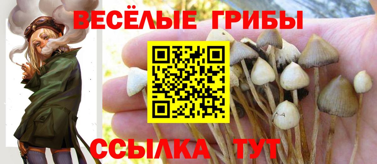 Псилоцибиновые грибы Cubensis Магнитогорск